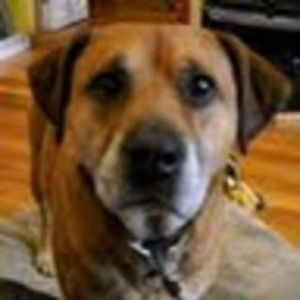 Meet your Posher, Joanie